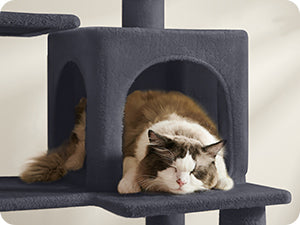 🇫🇷 Arbre à chat Feandrea 143 cm – Tour d’intérieur multi-niveaux avec 4 poteaux à griffer, 2 plateformes et niche en peluche 🇬🇧 Feandrea Cat Tree 143 cm – Multi-Level Indoor Cat Tower with 4 Scratching Posts, 2 Perches & Plush Condo Cave