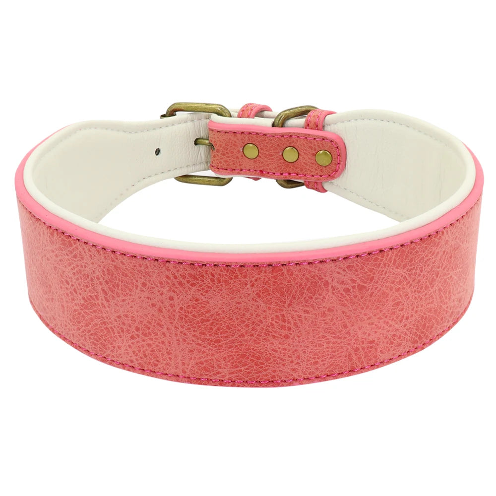 🇫🇷 Collier en cuir personnalisé pour chien – Large, rembourré, gravure du nom gratuite, idéal pour chiens moyens et grands 🇬🇧 Personalized Leather Dog Collar – Wide, padded, free name engraving, ideal for medium & large dogs