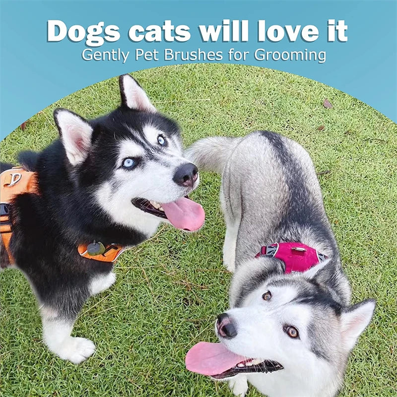 🇫🇷 Brosse pro anti-mue 2 faces pour chiens, chats et chiots – Démêlage, sous-poil et poils morts. 🇬🇧 Pro 2-sided deshedding brush for dogs, cats & puppies – Dematting, undercoat & loose hair.