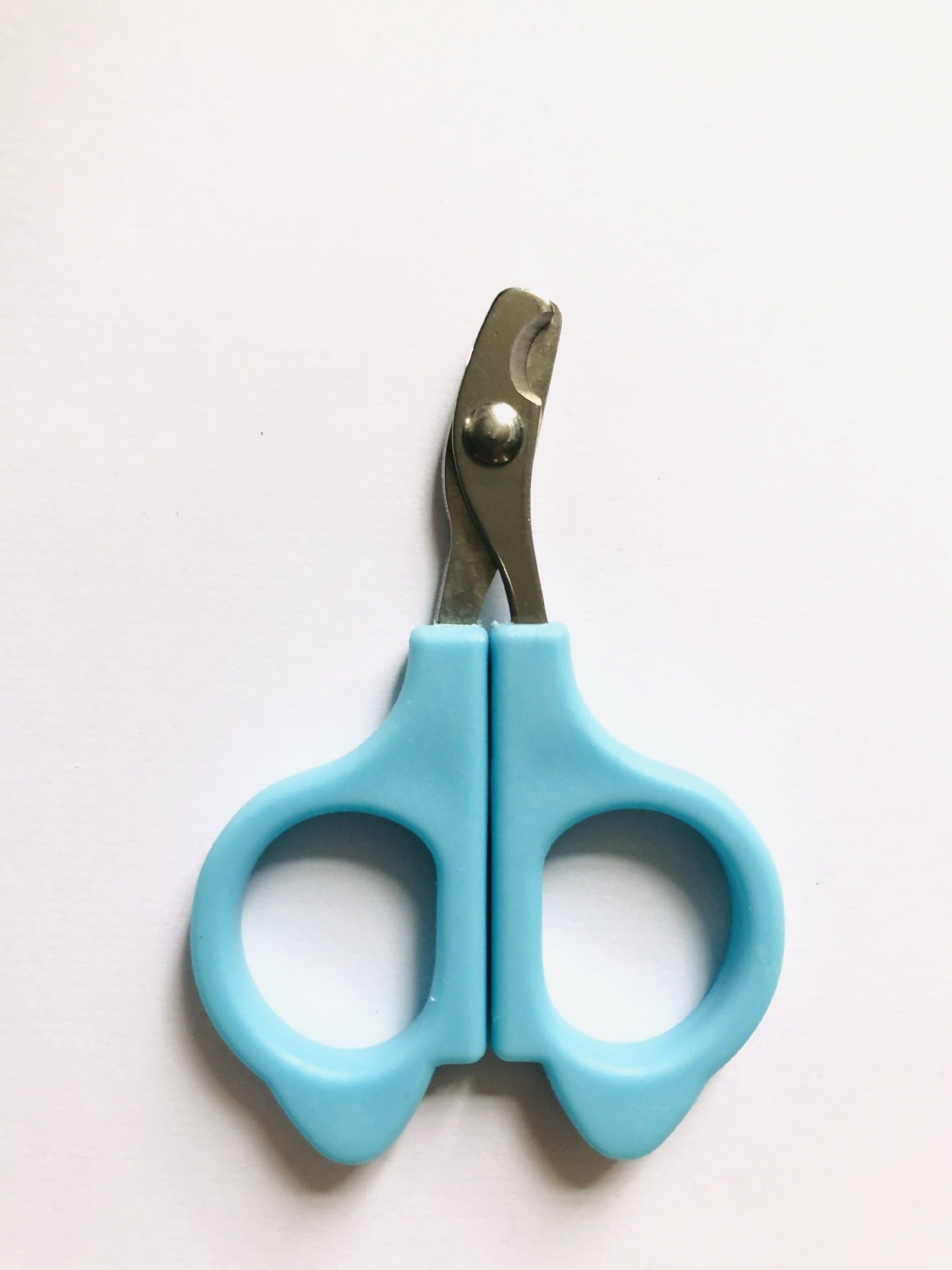 🇫🇷 Ciseaux à griffes pro pour chats et petits chiens – Coupe précise et sûre – Toilettage facile. 🇬🇧 Pro cat & small dog nail scissors – Safe, precise claw trimming – Easy grooming.