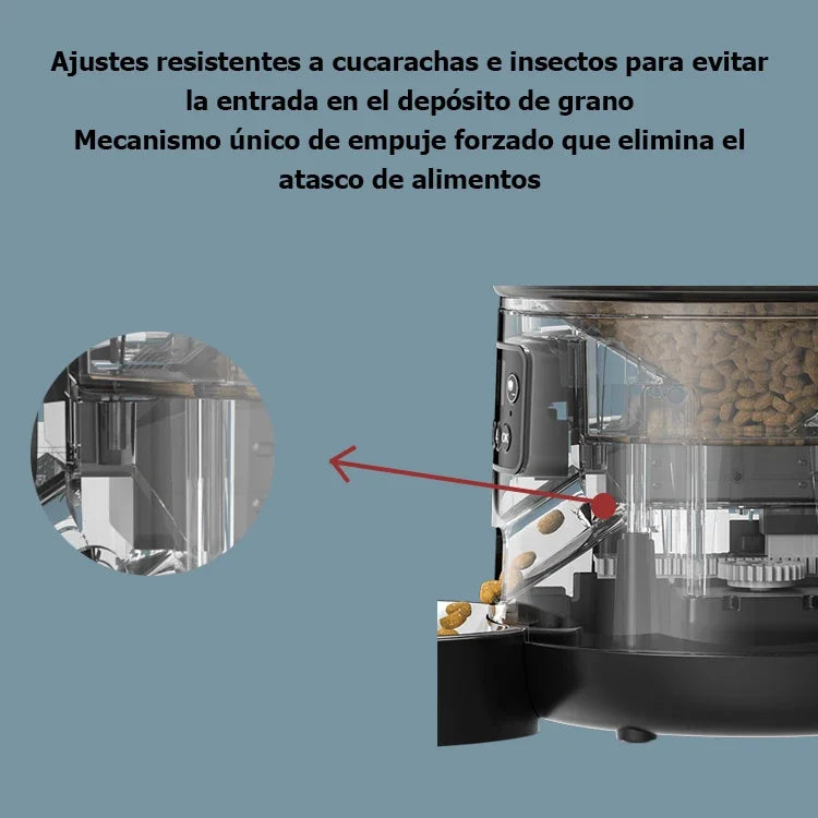 🇫🇷 Distributeur automatique pour animaux 4L – Nourrisseur intelligent avec minuterie, anti-bourrage pour chats et chiens 🇬🇧 4L Automatic Pet Feeder – Smart food dispenser with timer, bug & jam resistant for cats and dogs
