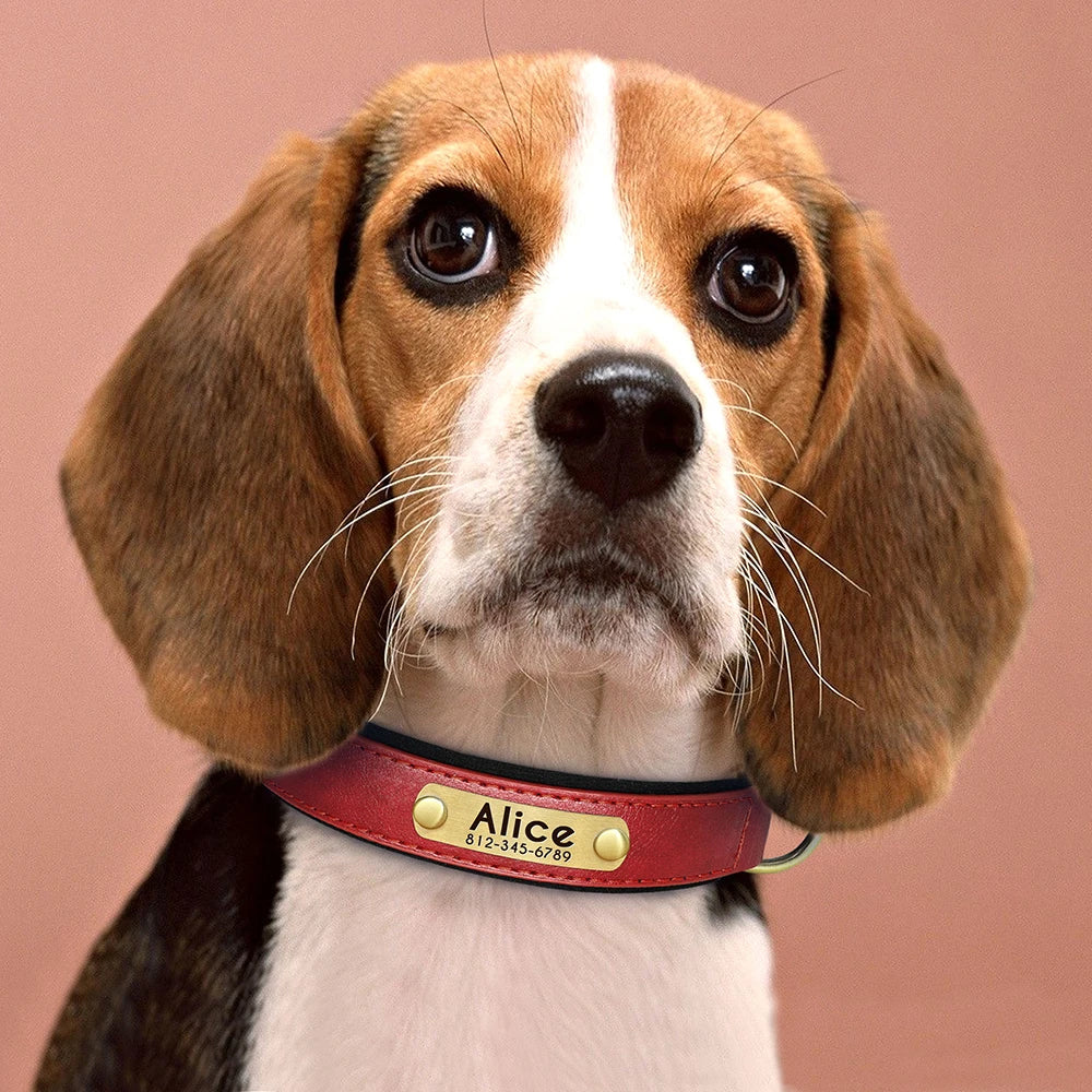 🇫🇷 Collier pour chien en cuir PU personnalisé – Doublure rembourrée, gravure gratuite du nom, réglable pour petits, moyens et grands chiens 🇬🇧 Customized PU Leather Dog Collar – Soft padded, free name engraving, adjustable for small, medium & large dogs