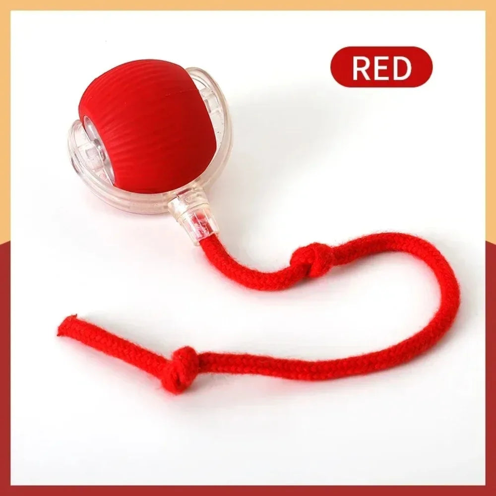 🇫🇷 Balle interactive intelligente pour chat – Jouet électronique automatique, roule toute seule et stimule l’instinct de chasse. 🇬🇧 Smart interactive cat ball – Automatic rolling electronic toy for indoor play & hunting fun.