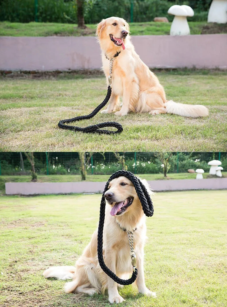 🇫🇷 Colliers confort & style pour chiens – élégants et durables. 🇬🇧 Stylish & comfy dog collars – elegant and durable.
