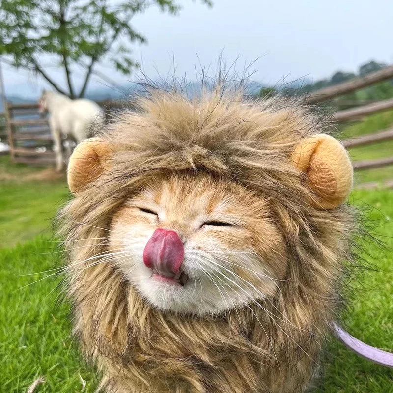 🇫🇷 Perruque crinière de lion pour chat & chiot – Chapeau cosplay déguisement Halloween & fêtes | 🇬🇧 Cat Lion Mane Hat – Cosplay Wig Costume for Cats & Puppies, Party & Halloween Decoration