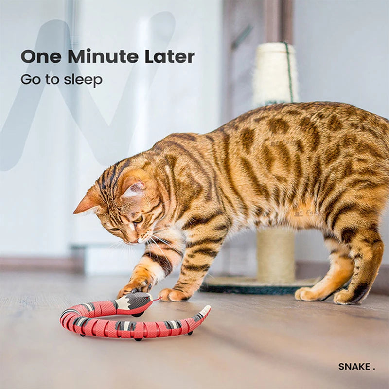 🇫🇷 Jouet interactif automatique pour chats – Serpent intelligent à détection, rechargeable USB, idéal pour stimuler et amuser votre félin. 🇬🇧 Automatic interactive cat toy – Smart sensing snake, USB rechargeable, perfect to entertain and engage your cat.