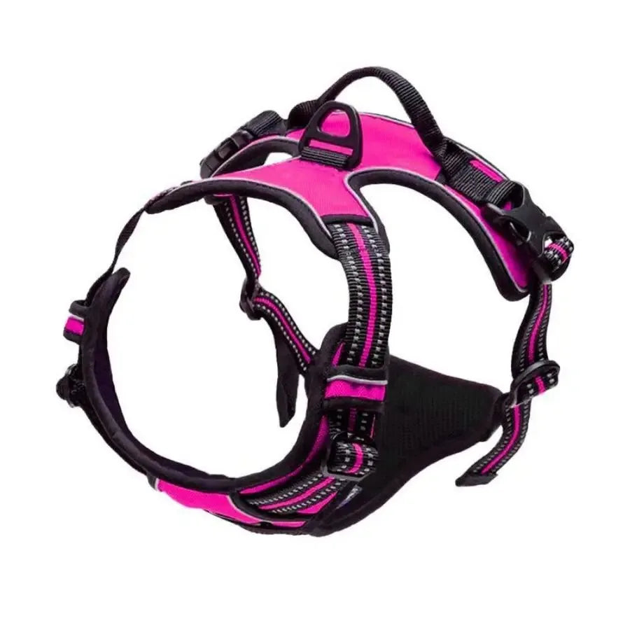🇫🇷 Colliers, harnais, laisses et accessoires pour chiens – Ensemble cuir pour chiots, petits et moyens chiens. 🇬🇧 Dog collars, harnesses, leashes & accessories – Leather set for puppies, small & medium dogs.