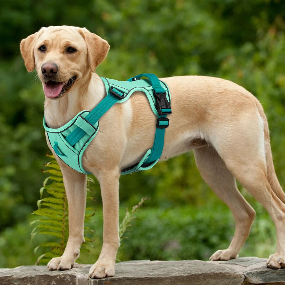🇫🇷 Harnais pour chien en maille respirante – Nylon réfléchissant, harnais durable et réglable pour petits, moyens et grands chiens 🇬🇧 Mesh Breathable Dog Harness – Durable Reflective Nylon Training Vest, Adjustable for Small, Medium and Large Dogs