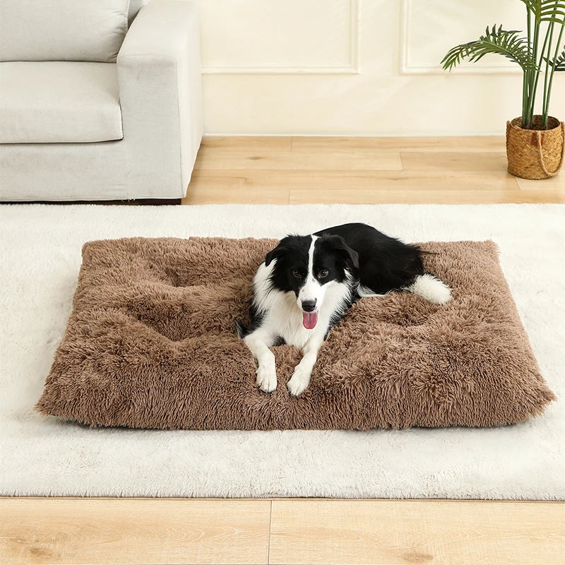 🇫🇷 Lit pour chien ultra doux – Maison en peluche longue, coussin confortable, panier ou canapé pour chiens, chats et petits animaux 🇬🇧 Soft Plush Dog Bed – Cozy House, Cushion or Sofa for Dogs, Cats & Small Pets, Ideal for Rest & Sleep