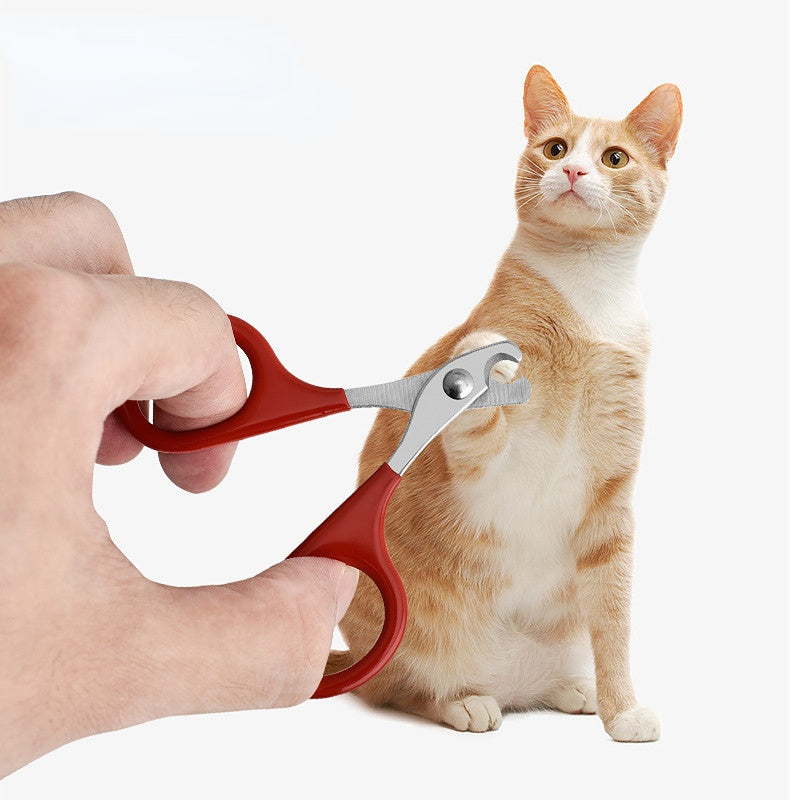 🇫🇷 Ciseaux à griffes pro pour chats et petits chiens – Coupe précise et sûre – Toilettage facile. 🇬🇧 Pro cat & small dog nail scissors – Safe, precise claw trimming – Easy grooming.