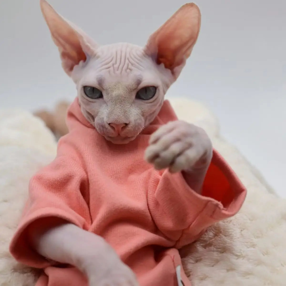 🇫🇷 Vêtement pour Chat Sphynx – Débardeur Rose Uni Toutes Saisons, Col Roulé Confortable en Coton pour Chats Nus & Devon Rex | 🇬🇧 Sphynx Cat Clothes – All-Season Pure Pink Cotton Turtleneck Vest for Hairless Cats & Devon Rex