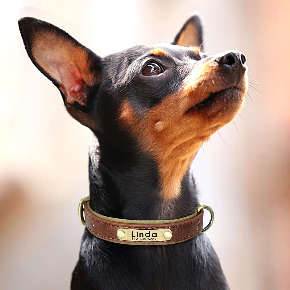 🇫🇷 Collier pour chien en cuir PU personnalisé – Doublure rembourrée, gravure gratuite du nom, réglable pour petits, moyens et grands chiens 🇬🇧 Customized PU Leather Dog Collar – Soft padded, free name engraving, adjustable for small, medium & large dogs