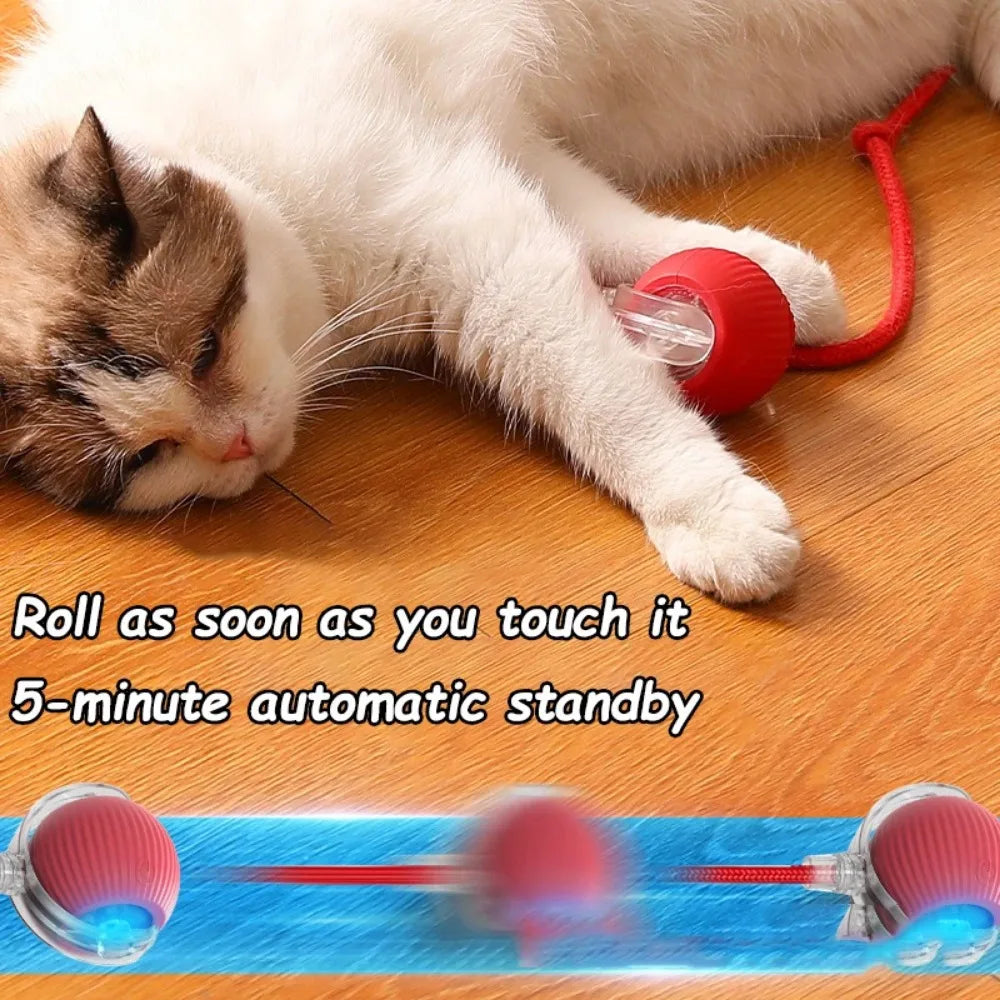 🇫🇷 Balle interactive rechargeable pour chat – balle roulante avec fausse queue, jouet intelligent imitant une souris pour stimuler et entraîner votre chat. 🇬🇧 Rechargeable smart cat ball – rolling toy with faux tail, mouse-like play for training & fun.
