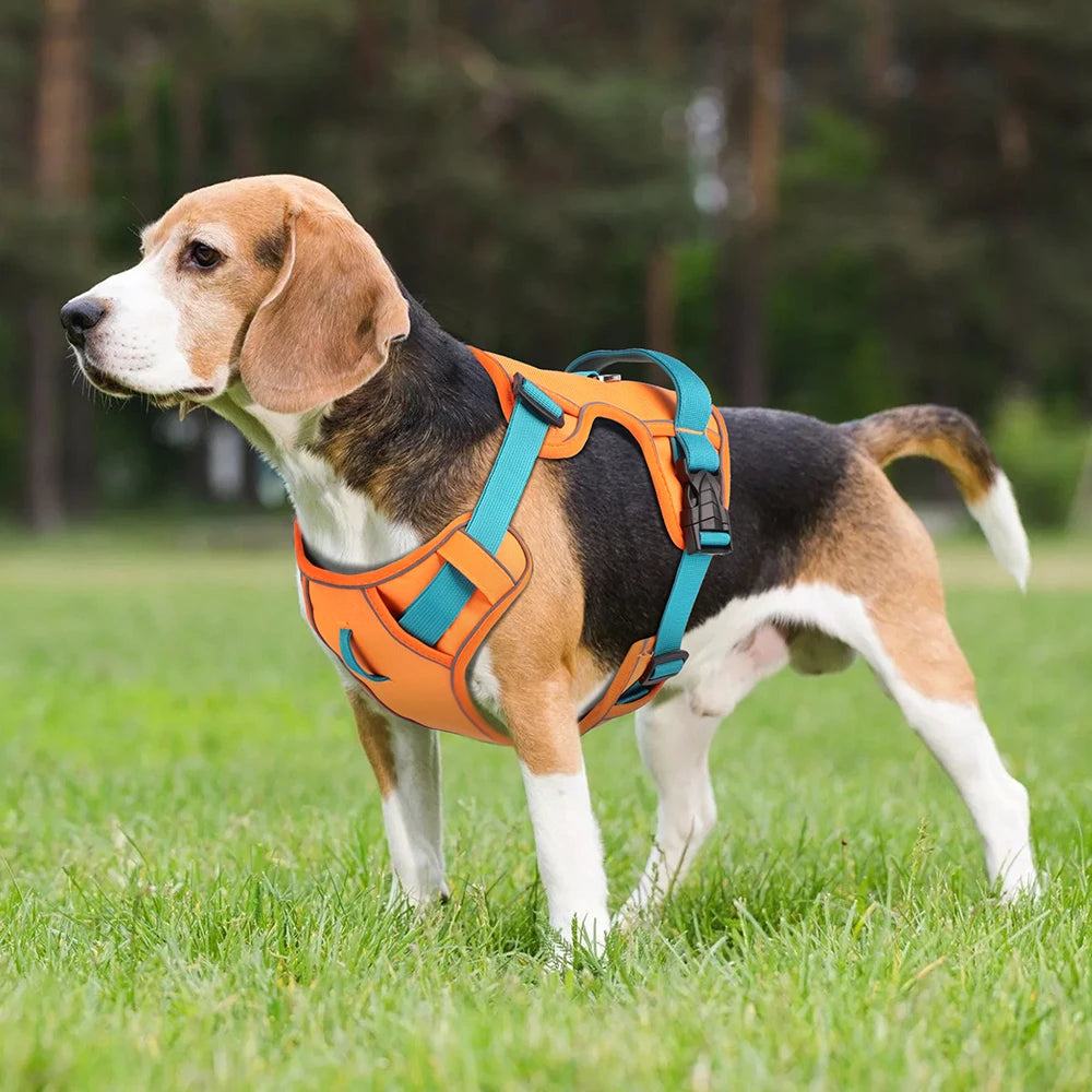 🇫🇷 Harnais pour chien en maille respirante – Nylon réfléchissant, harnais durable et réglable pour petits, moyens et grands chiens 🇬🇧 Mesh Breathable Dog Harness – Durable Reflective Nylon Training Vest, Adjustable for Small, Medium and Large Dogs