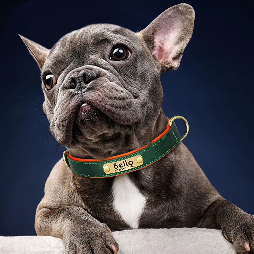 🇫🇷 Collier pour chien en cuir PU personnalisé – Doublure rembourrée, gravure gratuite du nom, réglable pour petits, moyens et grands chiens 🇬🇧 Customized PU Leather Dog Collar – Soft padded, free name engraving, adjustable for small, medium & large dogs