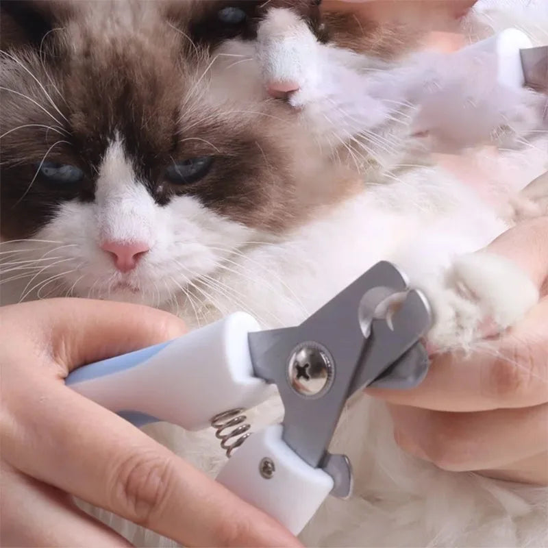 🇫🇷 Coupe-griffes pro en acier inoxydable pour chiens et chats – Pratique, précis et ergonomique pour un toilettage facile. 🇬🇧 Pro stainless steel nail clipper for dogs & cats – Convenient, precise & ergonomic for easy grooming.