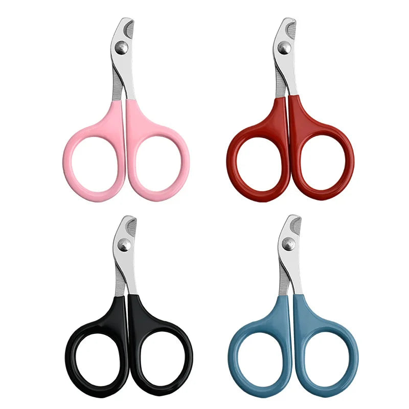 🇫🇷 Ciseaux à griffes pro pour chats et petits chiens – Coupe précise et sûre – Toilettage facile. 🇬🇧 Pro cat & small dog nail scissors – Safe, precise claw trimming – Easy grooming.