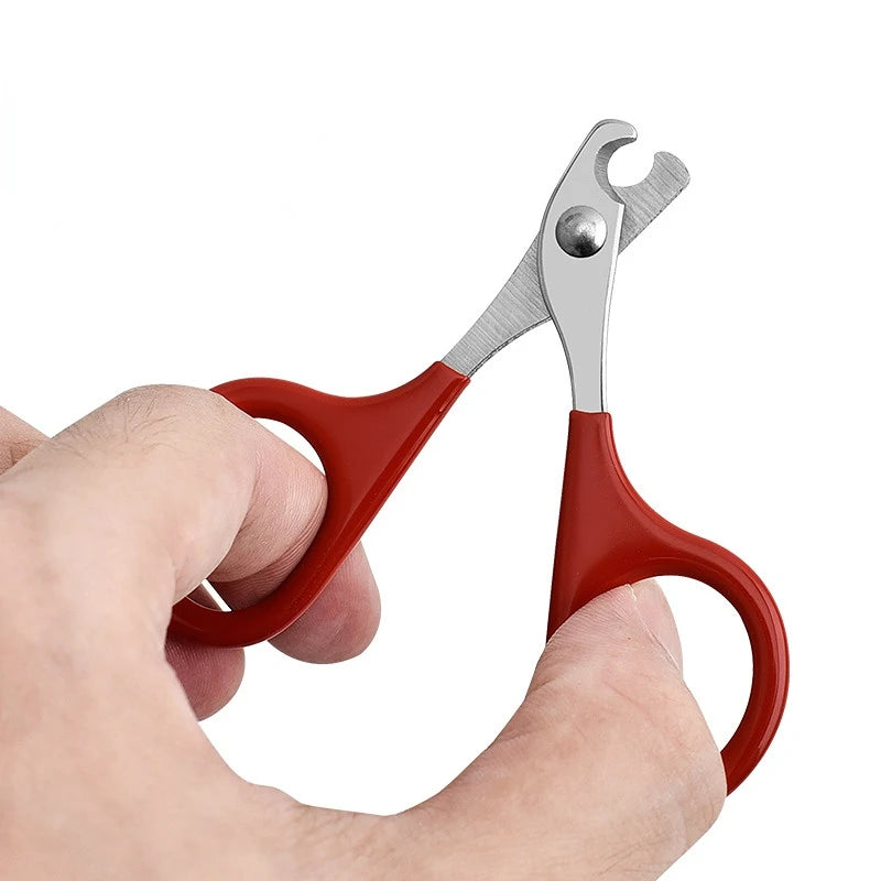 🇫🇷 Ciseaux à griffes pro pour chats et petits chiens – Coupe précise et sûre – Toilettage facile. 🇬🇧 Pro cat & small dog nail scissors – Safe, precise claw trimming – Easy grooming.
