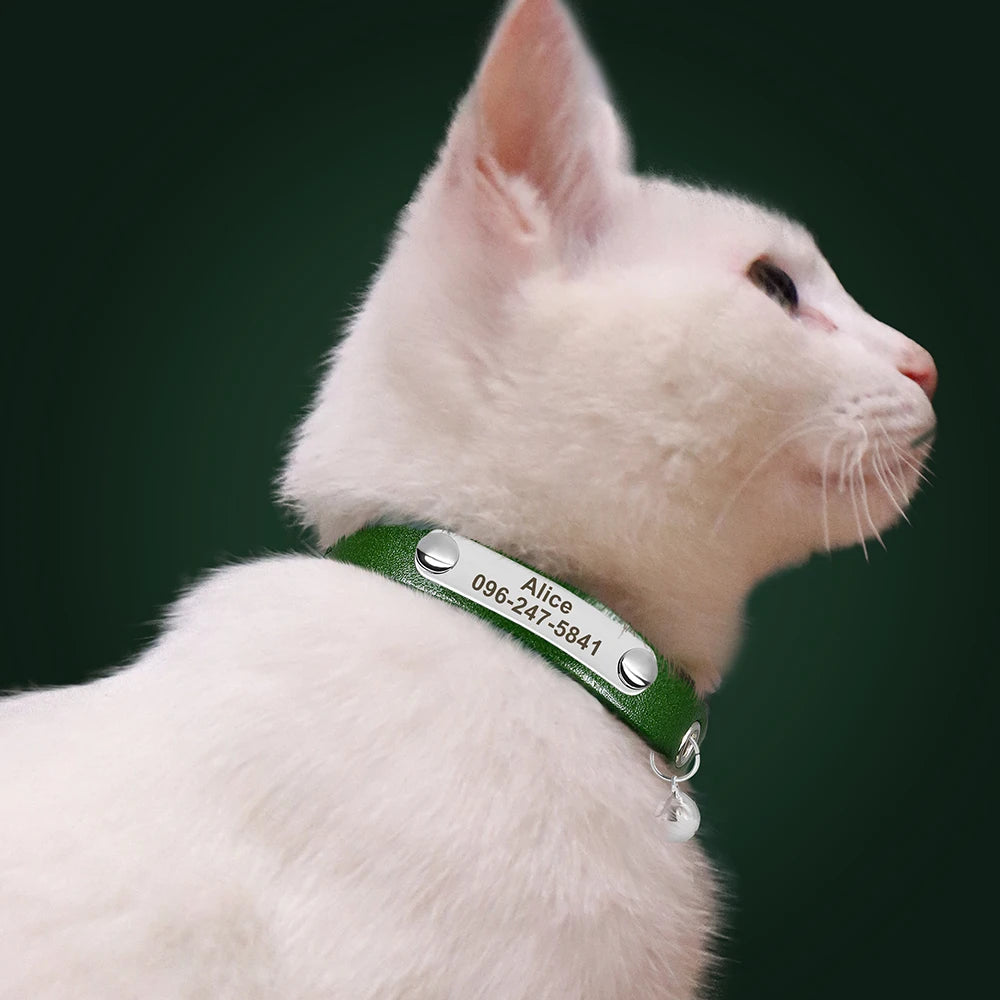 🇫🇷 Collier pour chat en cuir réglable – Personnalisé avec nom gravé, anti-perte, pour chatons et petits chiens 🇬🇧 Personalized Leather Cat Collar – Adjustable, engraved name, anti-lost, for kittens & small dogs