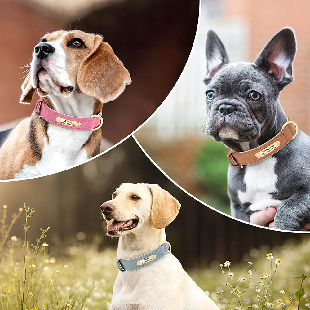 🇫🇷 Collier pour chien en cuir PU personnalisé – Gravure gratuite du nom et de l’ID, pour chiens petits, moyens et grands 🇬🇧 Personalized PU Leather Dog Collar – Free name & ID engraving for small, medium & large dogs