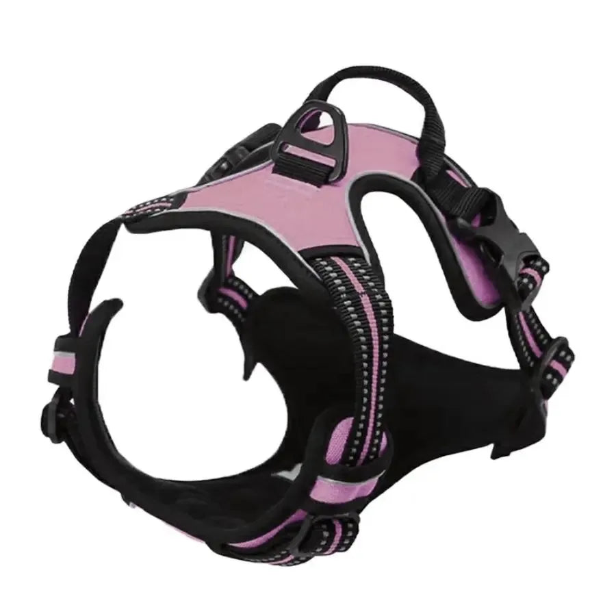 🇫🇷 Colliers, harnais, laisses et accessoires pour chiens – Ensemble cuir pour chiots, petits et moyens chiens. 🇬🇧 Dog collars, harnesses, leashes & accessories – Leather set for puppies, small & medium dogs.