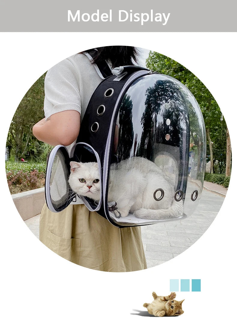 🇫🇷 Sac à dos capsule transparent pour chat et petit chien – Sac de transport respirant et portable 🇬🇧 Transparent Capsule Pet Backpack – Breathable and portable carrier for cats & small dogs