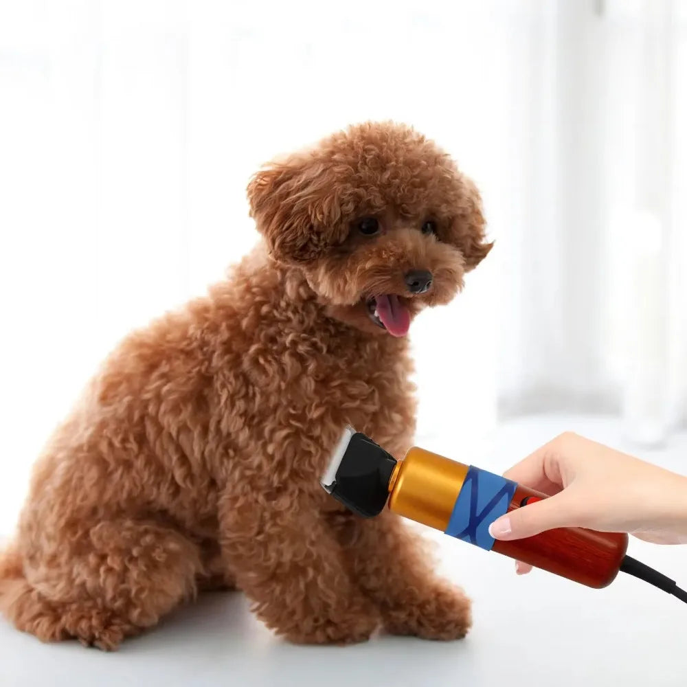 🇫🇷 Tondeuse électrique 200W pour chiens et autres animaux – Coupe rapide et efficace du pelage. 🇬🇧 200W electric sheep & dog shearing machine – Fast, efficient animal hair cutting tool