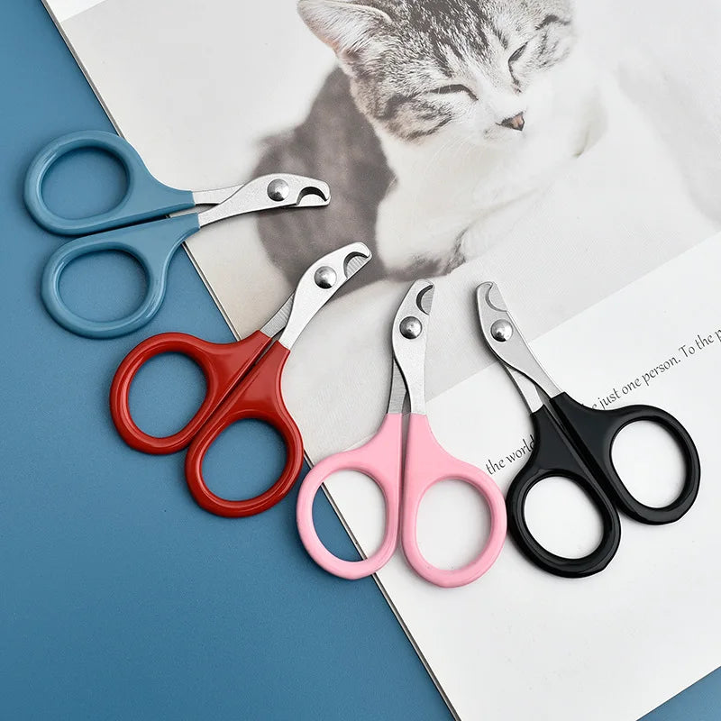 🇫🇷 Ciseaux à griffes pro pour chats et petits chiens – Coupe précise et sûre – Toilettage facile. 🇬🇧 Pro cat & small dog nail scissors – Safe, precise claw trimming – Easy grooming.