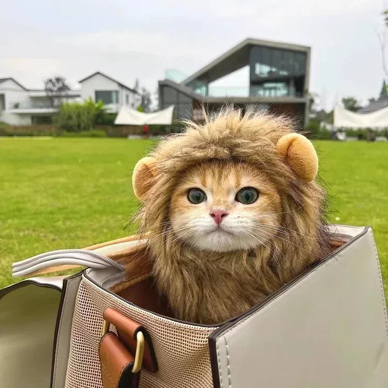 🇫🇷 Perruque crinière de lion pour chat & chiot – Chapeau cosplay déguisement Halloween & fêtes | 🇬🇧 Cat Lion Mane Hat – Cosplay Wig Costume for Cats & Puppies, Party & Halloween Decoration