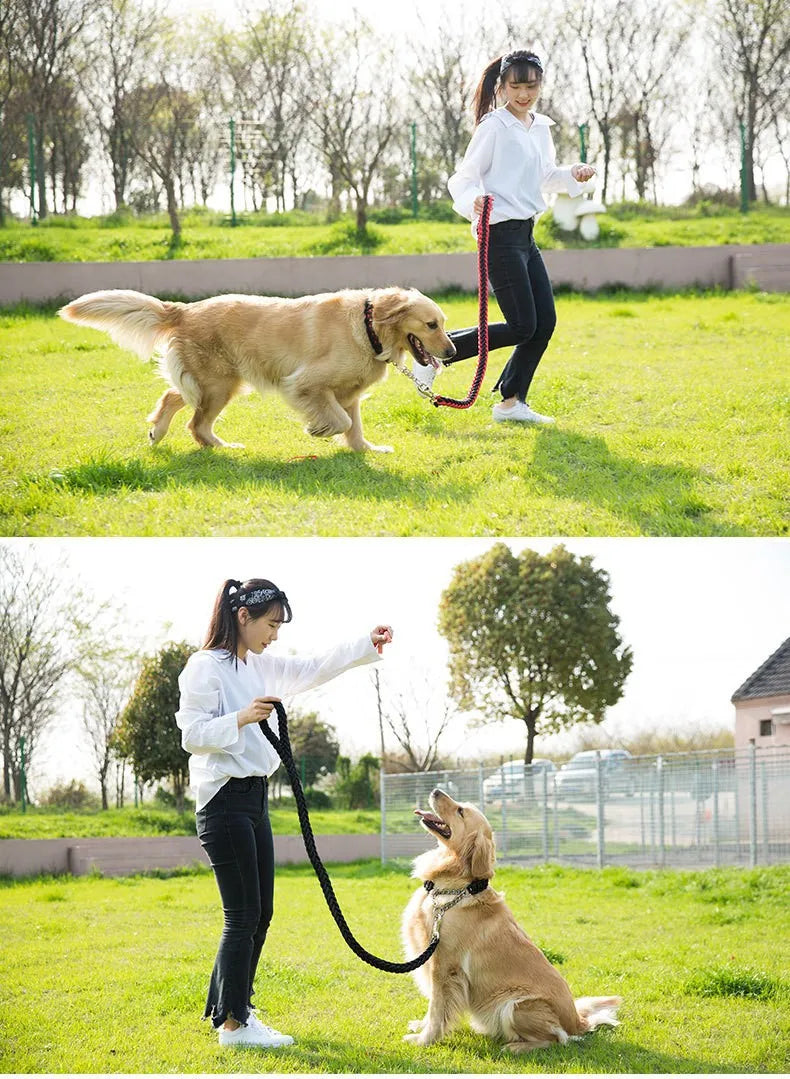 🇫🇷 Colliers confort & style pour chiens – élégants et durables. 🇬🇧 Stylish & comfy dog collars – elegant and durable.