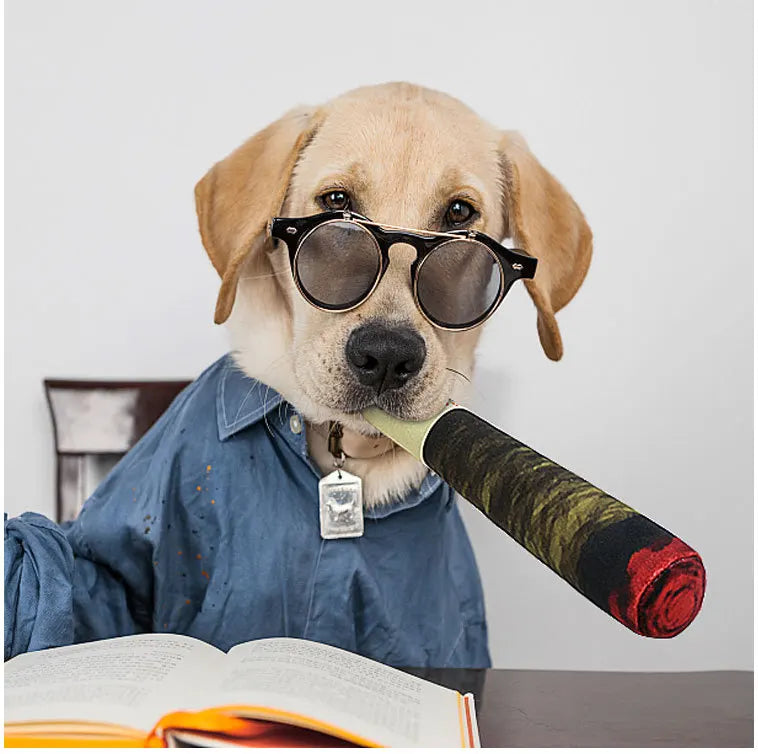 🇫🇷 Jouet cigare interactif pour chien – Peluche résistante avec couineur, idéal petits chiens, mâchage et jeu prolongé. 🇬🇧 Interactive cigar dog toy – Durable squeaky plush for small dogs, perfect for chewing and long play sessions.