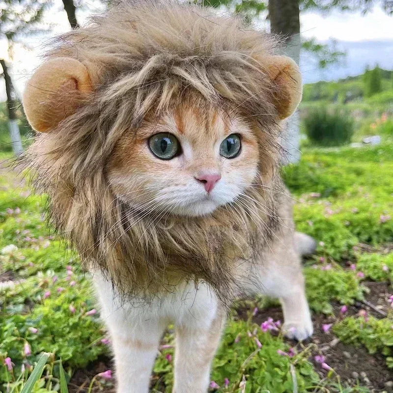 🇫🇷 Perruque crinière de lion pour chat & chiot – Chapeau cosplay déguisement Halloween & fêtes | 🇬🇧 Cat Lion Mane Hat – Cosplay Wig Costume for Cats & Puppies, Party & Halloween Decoration