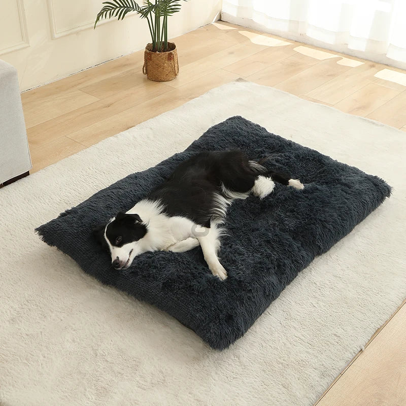 🇫🇷 Lit pour chien ultra doux – Maison en peluche longue, coussin confortable, panier ou canapé pour chiens, chats et petits animaux 🇬🇧 Soft Plush Dog Bed – Cozy House, Cushion or Sofa for Dogs, Cats & Small Pets, Ideal for Rest & Sleep
