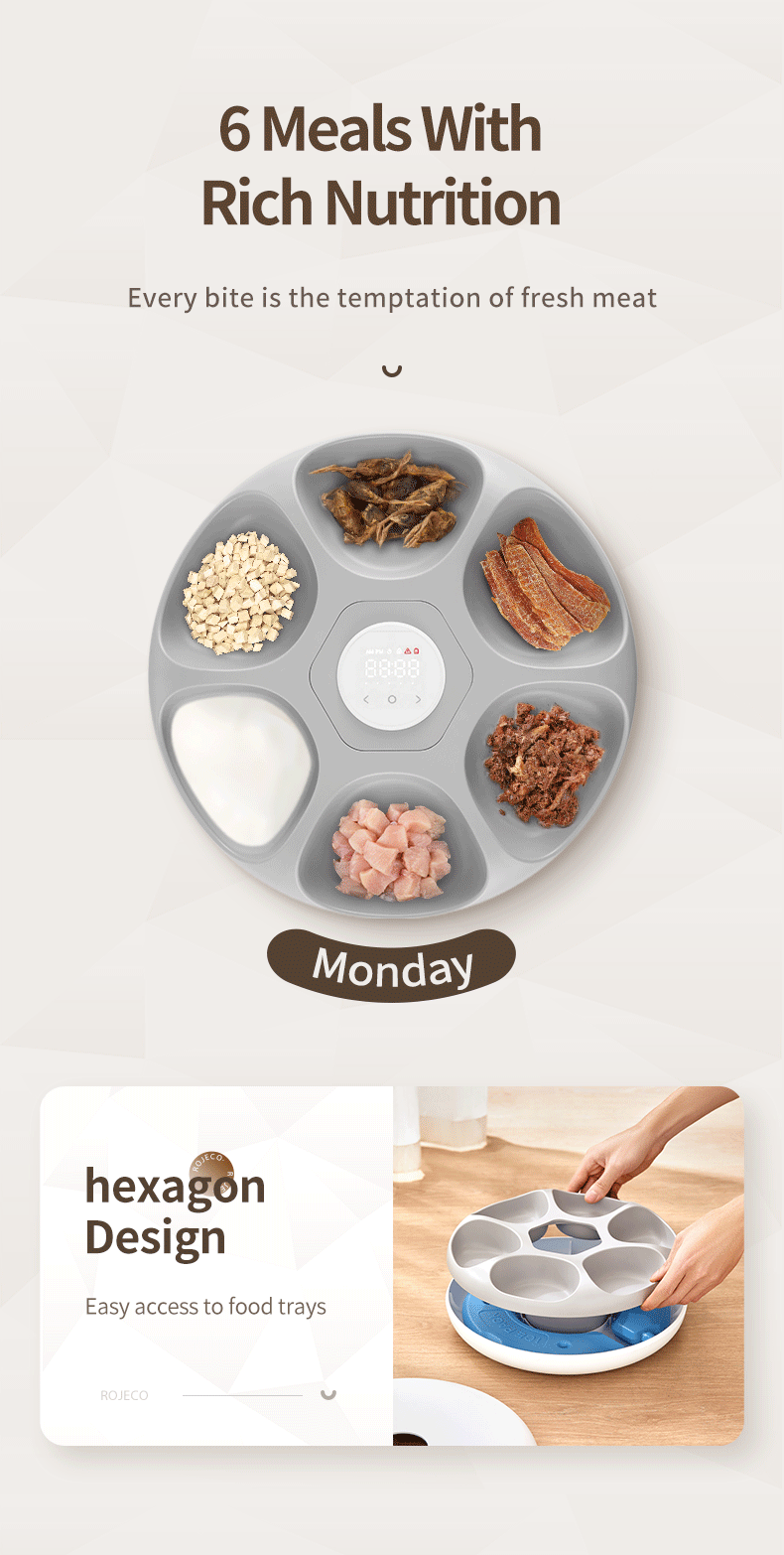 🇫🇷 ROJECO Distributeur Automatique 6 Repas – Nourrisseur Intelligent pour Croquettes & Pâtée, Accessoires, Distributeur Chat 🇬🇧 ROJECO 6 Meals Automatic Pet Feeder – Smart Cat Food Dispenser for Kibble & Wet Food, Accessories, Auto Feeder