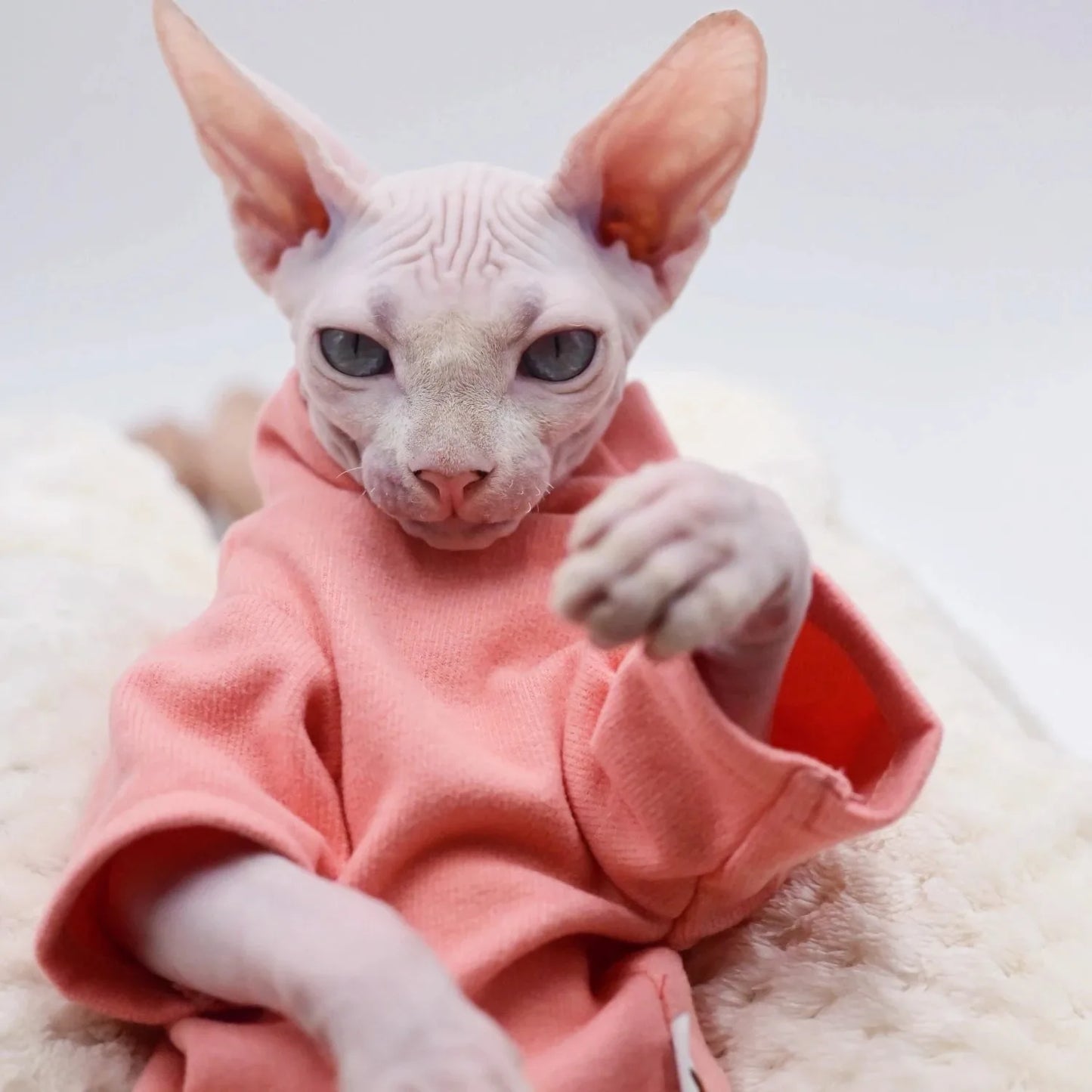 🇫🇷 Vêtement pour Chat Sphynx – Débardeur Rose Uni Toutes Saisons, Col Roulé Confortable en Coton pour Chats Nus & Devon Rex | 🇬🇧 Sphynx Cat Clothes – All-Season Pure Pink Cotton Turtleneck Vest for Hairless Cats & Devon Rex