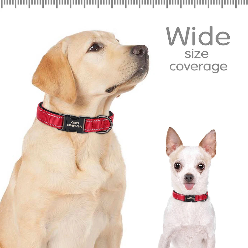 🇫🇷 Collier pour chien réfléchissant et personnalisé – Nylon gravé avec ID, rembourré et réglable pour petits, moyens et grands chiens 🇬🇧 Reflective Personalized Dog Collar – Engraved ID Nylon, Soft Padded & Adjustable for Small, Medium & Large Dogs