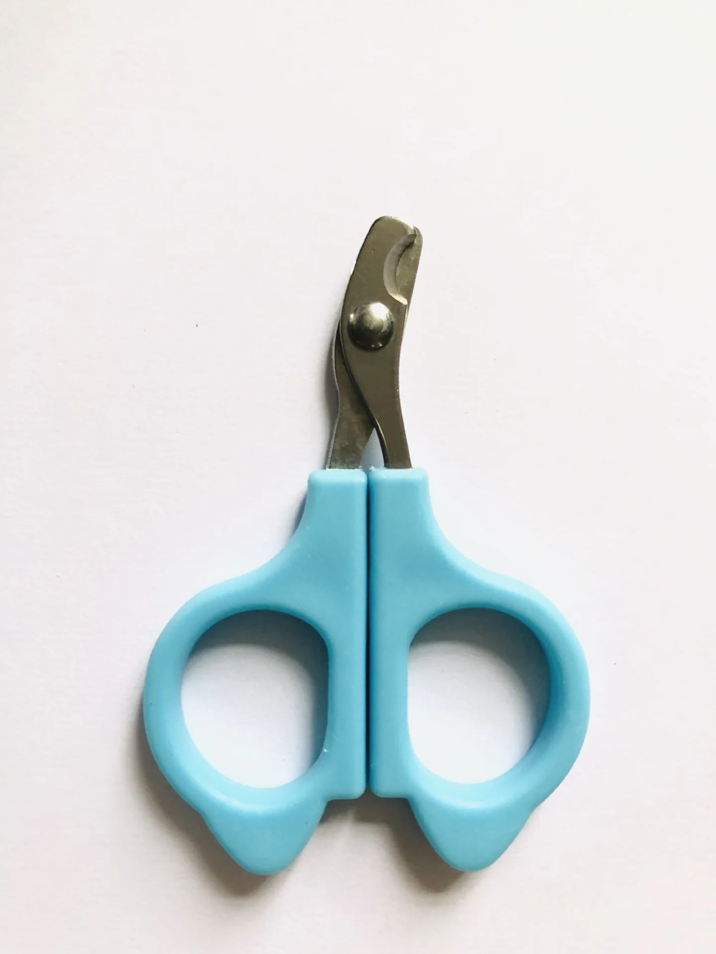 🇫🇷 Ciseaux à griffes pro pour chats et petits chiens – Coupe précise et sûre – Toilettage facile. 🇬🇧 Pro cat & small dog nail scissors – Safe, precise claw trimming – Easy grooming.