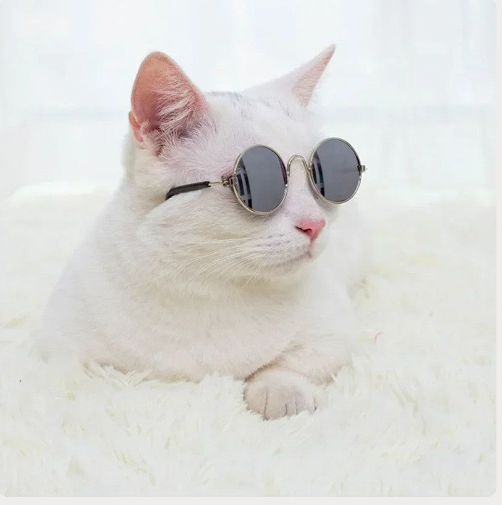 🇫🇷 Français : Félin Chic  🇬🇧 English : Chic Feline
