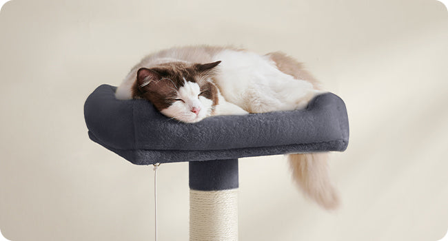 🇫🇷 Arbre à chat Feandrea 143 cm – Tour d’intérieur multi-niveaux avec 4 poteaux à griffer, 2 plateformes et niche en peluche 🇬🇧 Feandrea Cat Tree 143 cm – Multi-Level Indoor Cat Tower with 4 Scratching Posts, 2 Perches & Plush Condo Cave