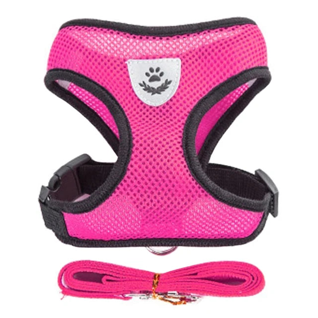 🇫🇷 Harnais pour chat avec laisse – Gilet réglable en maille respirante pour chats et petits chiens  🇬🇧 Cat Harness with Leash – Adjustable mesh vest for cats and small dogs