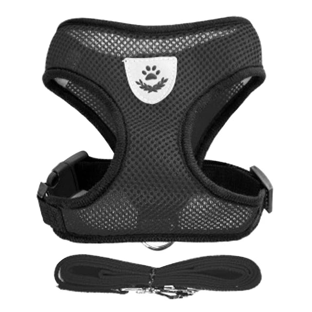 🇫🇷 Harnais pour chat avec laisse – Gilet réglable en maille respirante pour chats et petits chiens  🇬🇧 Cat Harness with Leash – Adjustable mesh vest for cats and small dogs