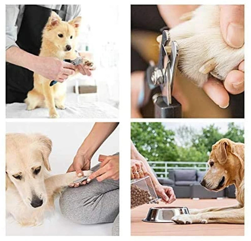 🇫🇷 Coupe-griffes pro avec butée de sécurité – Acier inoxydable – Pour chats et chiens, soin des griffes et toilettage. 🇬🇧 Pro nail clipper with safety guard – Stainless steel – For cats & dogs, claw care and grooming.