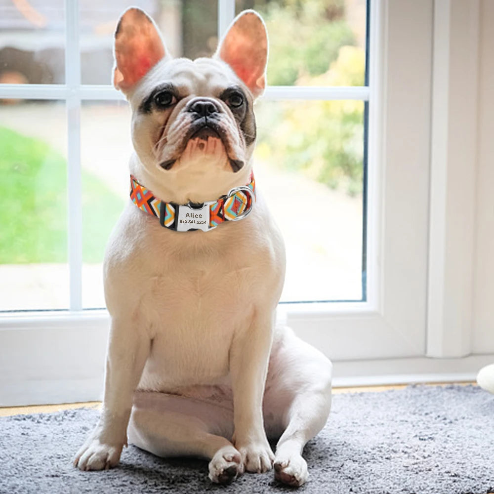 🇫🇷 Collier réglable en nylon pour chien – Personnalisé avec gravure sur la boucle, anti-perte, pour petits, moyens et grands chiens  🇬🇧 Adjustable Nylon Dog Collar – Personalized with engraved buckle, anti-lost, for small, medium & large dogs