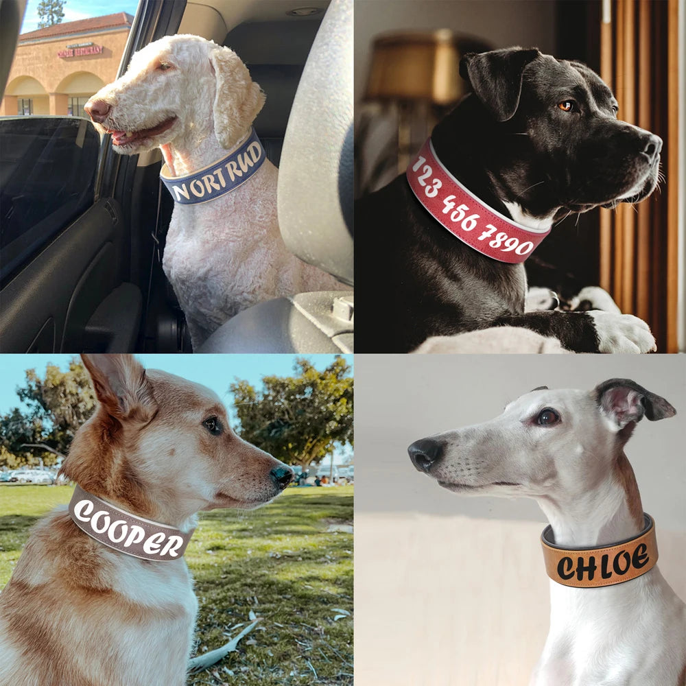 🇫🇷 Collier en cuir personnalisé pour chien – Large, rembourré, gravure du nom gratuite, idéal pour chiens moyens et grands  🇬🇧 Personalized Leather Dog Collar – Wide, padded, free name engraving, ideal for medium & large dogs