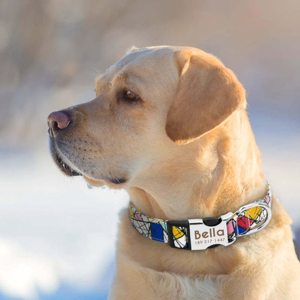 🇫🇷 Collier réglable en nylon pour chien – Personnalisé avec gravure sur la boucle, anti-perte, pour petits, moyens et grands chiens  🇬🇧 Adjustable Nylon Dog Collar – Personalized with engraved buckle, anti-lost, for small, medium & large dogs