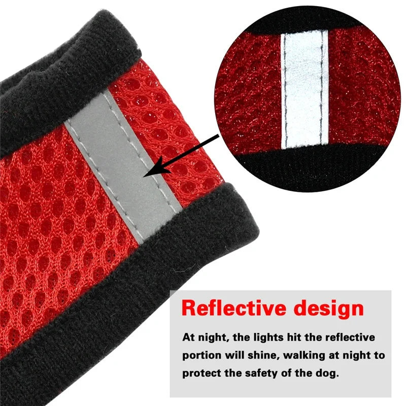 🇫🇷 Harnais pour chat avec laisse – Gilet réglable en maille respirante pour chats et petits chiens  🇬🇧 Cat Harness with Leash – Adjustable mesh vest for cats and small dogs