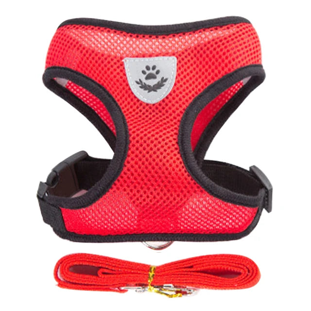 🇫🇷 Harnais pour chat avec laisse – Gilet réglable en maille respirante pour chats et petits chiens  🇬🇧 Cat Harness with Leash – Adjustable mesh vest for cats and small dogs