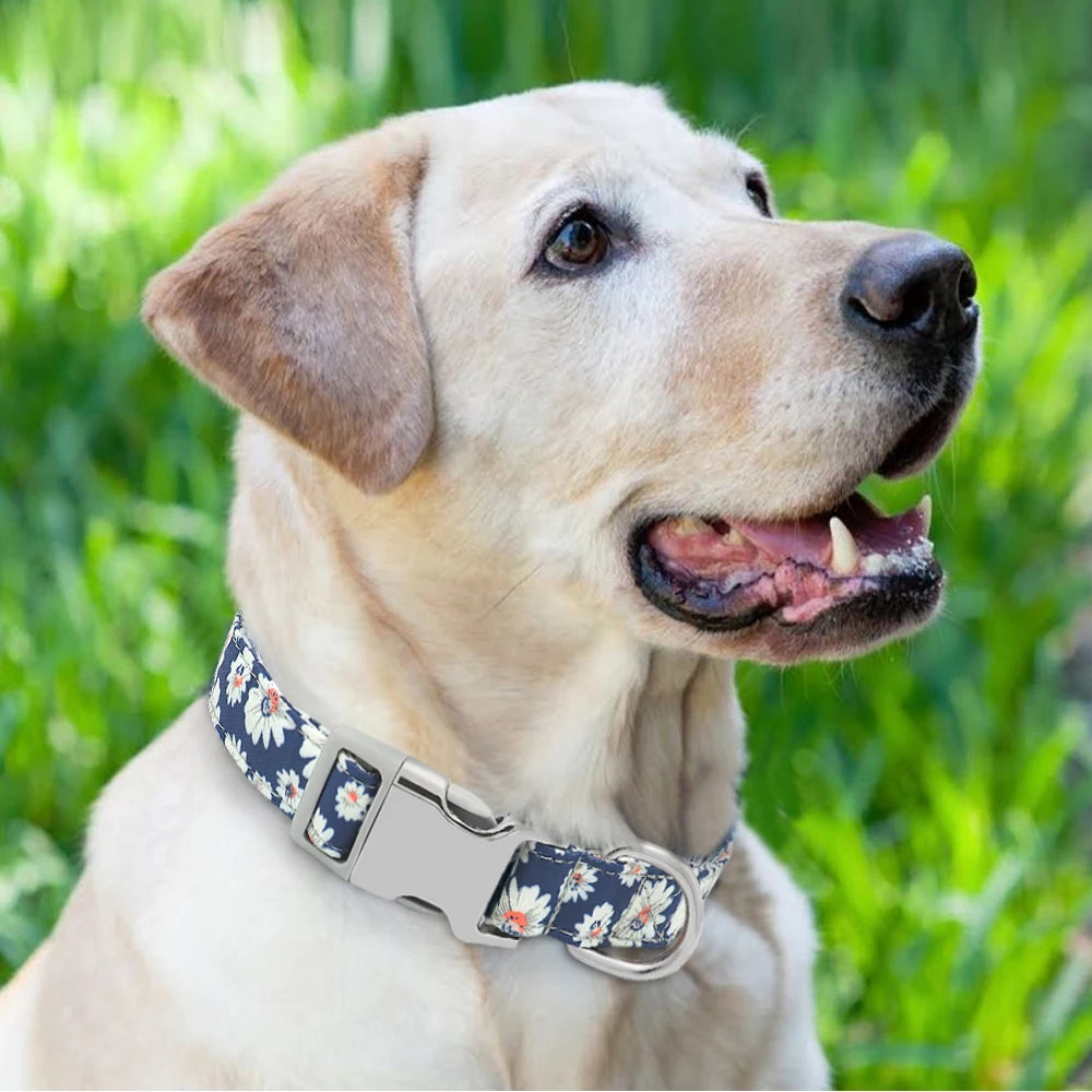 🇫🇷 Collier réglable en nylon pour chien – Personnalisé avec gravure sur la boucle, anti-perte, pour petits, moyens et grands chiens  🇬🇧 Adjustable Nylon Dog Collar – Personalized with engraved buckle, anti-lost, for small, medium & large dogs