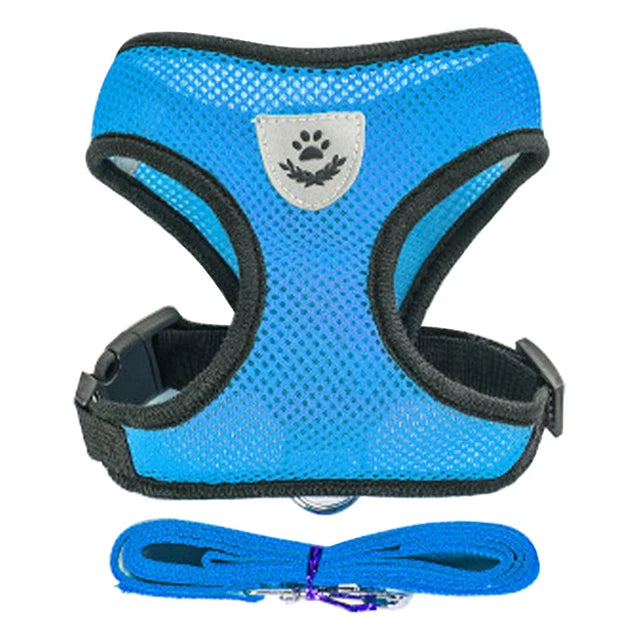 🇫🇷 Harnais pour chat avec laisse – Gilet réglable en maille respirante pour chats et petits chiens  🇬🇧 Cat Harness with Leash – Adjustable mesh vest for cats and small dogs