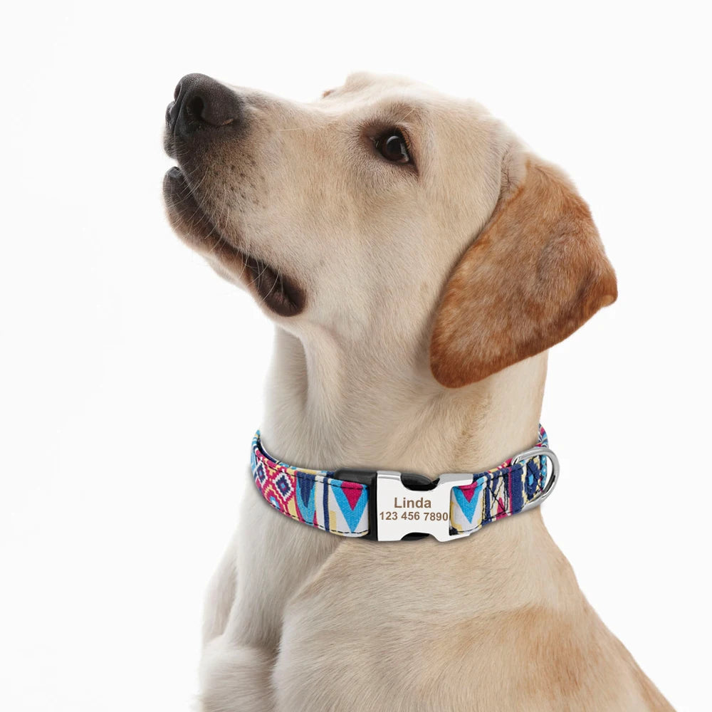 🇫🇷 Collier réglable en nylon pour chien – Personnalisé avec gravure sur la boucle, anti-perte, pour petits, moyens et grands chiens  🇬🇧 Adjustable Nylon Dog Collar – Personalized with engraved buckle, anti-lost, for small, medium & large dogs